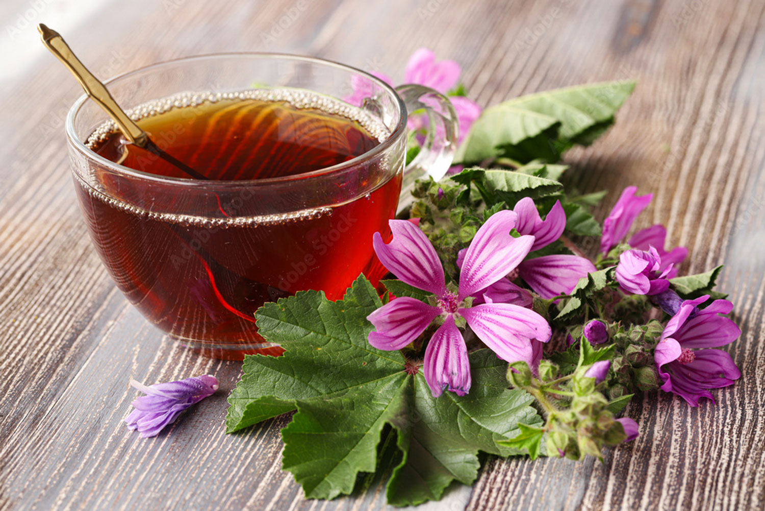 7 Amazing Benefits of Malva Tea