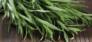 What is tarragon, and where to buy it?